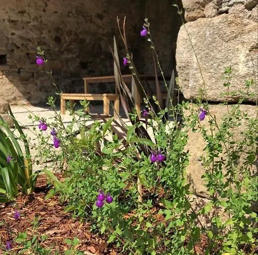 Château De La Garnison 3* Orvault