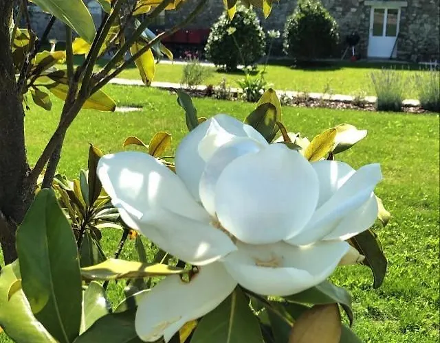 Bed and breakfast Chateau De La Garnison Orvault